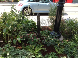 Plant bed on Roncesvalles Avenue with water hydrant